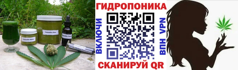 МЕГА купить наркотик darknet формула Canna-Cookies конопля Невьянск